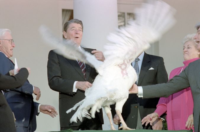 The National Thanksgiving Turkey flaps its wings, startling President Ronald Reagan and other guests during the 1987 pardoning ceremony.