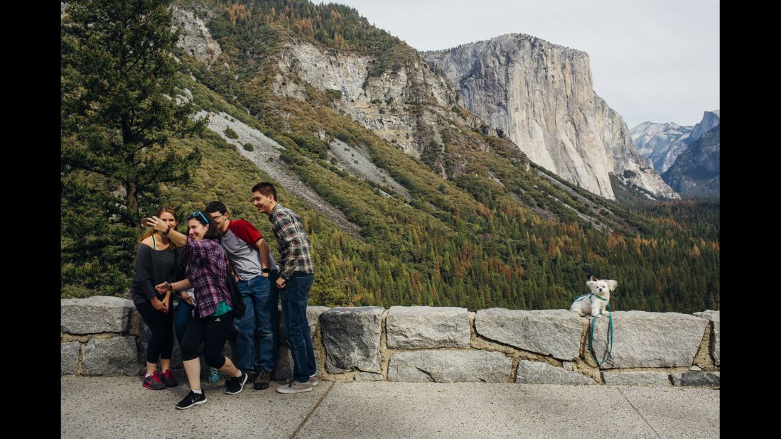 A group gathers for a selfie at California's Yosemite National Park on Saturday, October 24. At right is a dog being photographed by its owner.