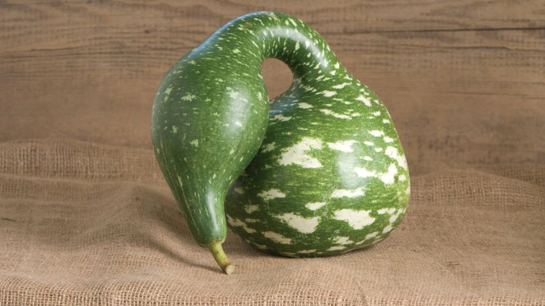The green gourd with a long neck and light colored spots makes for a nice decoration. This Speckled Swan gourd is from the lagenaria family. It's early ancestors were used for carrying water.