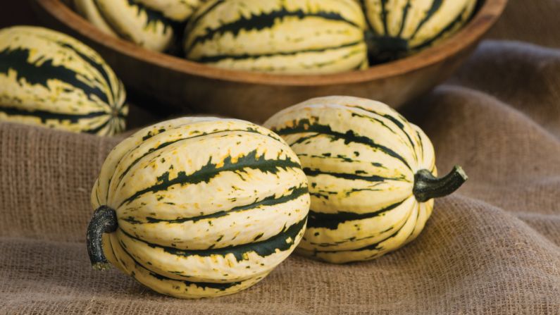 The Jester Acorn Squash is great for your fall menu. It's sweetness isn't overpowering and it's great for stuffing and roasting.