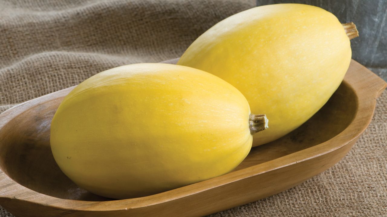 Another great roasting squash. The personal-sized Pinnacle Spaghetti squash is a little smaller than the usual spaghetti squash type. Take a fork and run it along the inside to create spaghetti-type strands that are a great alternative to traditional spaghetti.