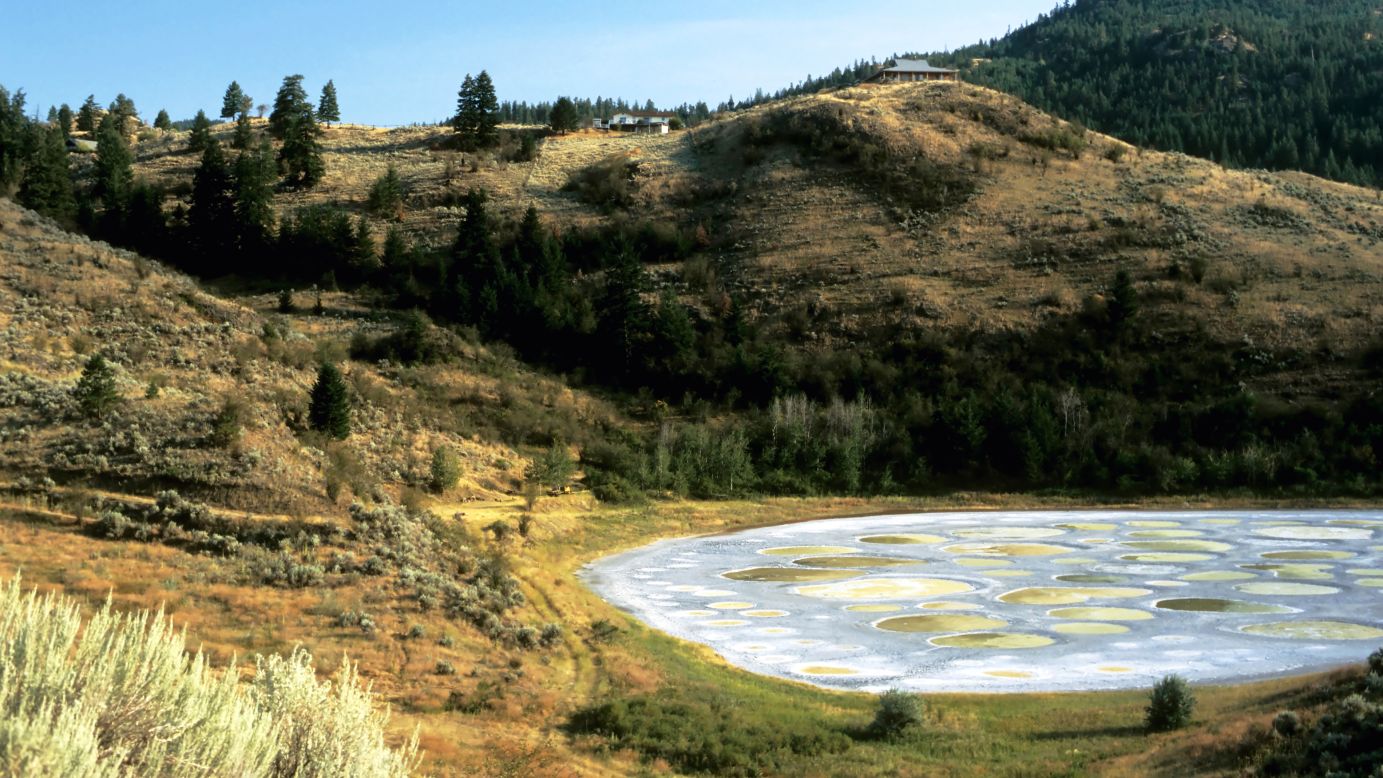Located near the city of Osoyoos in British Columbia, the mineral-rich Spotted Lake contains high levels of magnesium sulfate, calcium and sodium sulphates. In the summer, most of the lake's water evaporates, revealing a bed of mineral deposits.