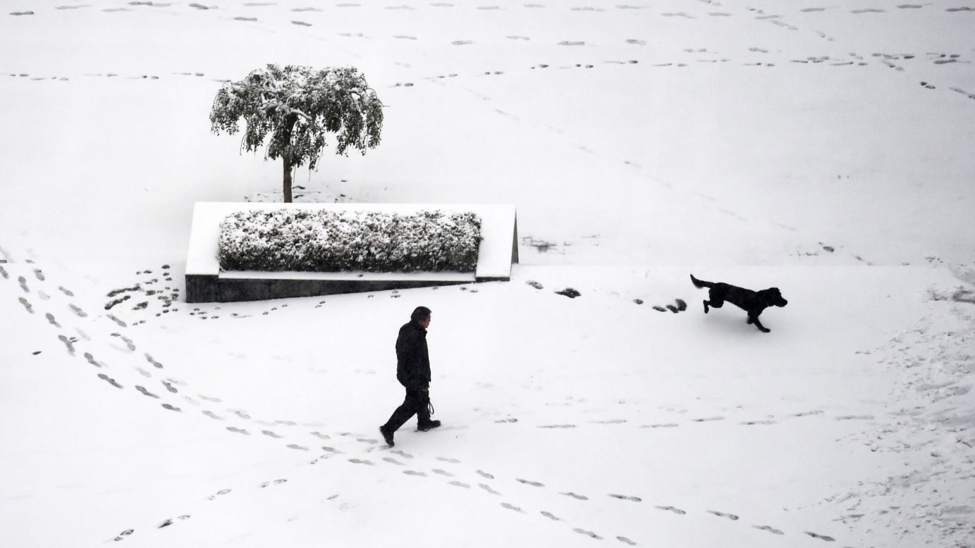 A man walks his dog in the snow in Beijing.