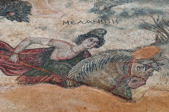 A mosaic of Amazon queen Melanippe, from the ancient city of Edessa, in what is now Sanliurfa, Turkey.<br />"The ancient Greeks described Amazons as fierce, war-loving foreign horsewomen-archers who hunted with bows and arrows, had sex on their own terms, and equaled men in battle skills and valor," said Mayor.<br />"Every great Greek hero of myth, from Hercules to Achilles, proved his valor by fighting a bold Amazon queen."<br />