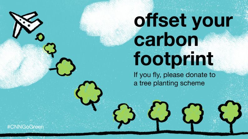 If you can't avoid producing significant emissions, try to make up for it. This isn't only through planting trees -- you can also use green energy in your home or invest in hydro or wind power.