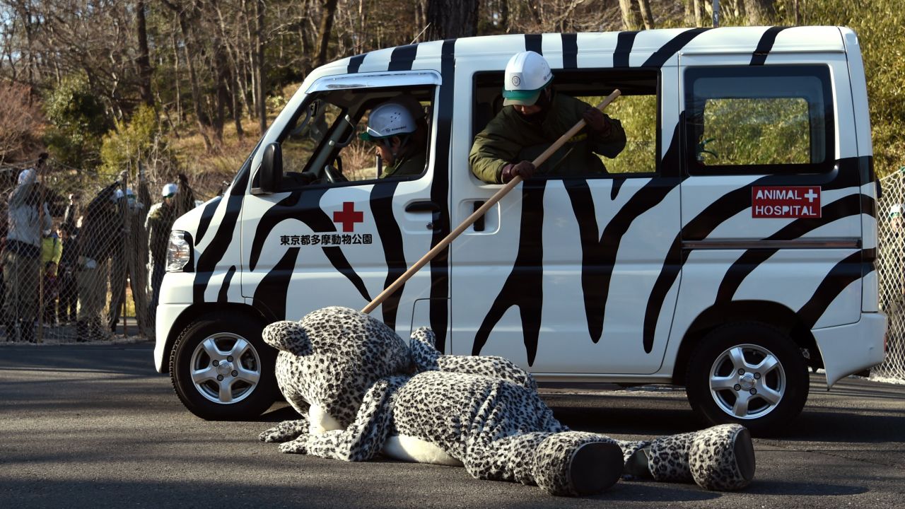 <strong>February 10:</strong> An employee from the Tama Zoo in Tokyo pretends to check a tranquilizer's effectiveness on an employee wearing a snow leopard suit. The annual drill practiced what to do in the event of an animal escape.