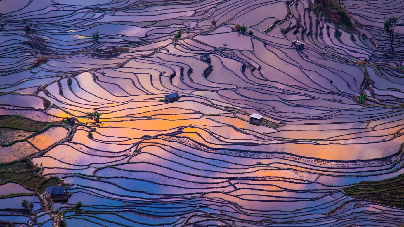 <strong>October 12:</strong> Rice terraces reflect the colors of twilight in Yuanyang, China.
