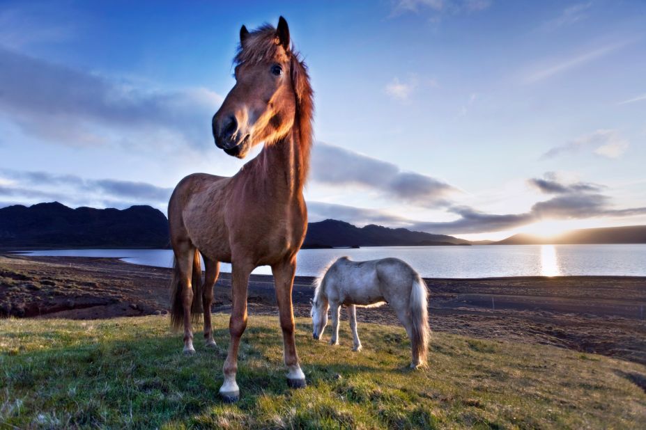 "Iceland is still relatively sparsely populated and there's still large areas that are like being in the middle of nowhere," Guðleifsdóttir adds. "It really appeals to me to capture that beauty while it's still there because the rest of the world is obviously not like that. Everywhere else there's billboards, gas stations, fast-food places, but in Iceland stuff is still really open. I don't take it for granted as it won't be like that forever."