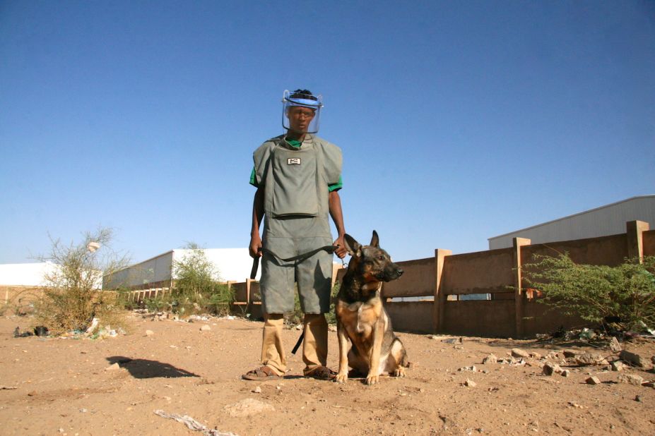Handler Omar Salih with Marco, a Rottweiler and German Shepard cross.