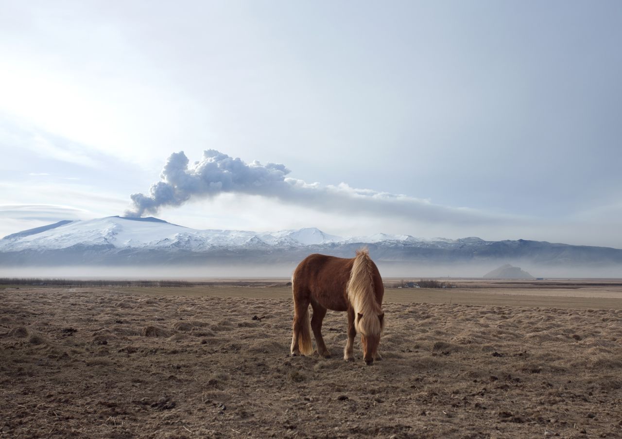For Guðleifsdóttir, the beauty of the land that the Icelandic horse naturally inhabits is just as important for her photos as the subjects themselves. "I like to capture them like they're wild as it's really important for me as a photographer to help capture just how appealing Iceland really is as I'm so proud of it," she says. 