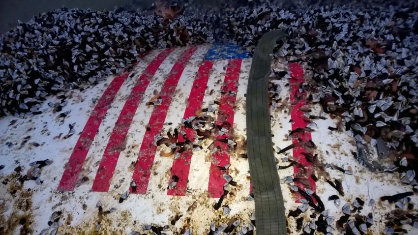 SpaceX Falcon-9: Debris from the unmanned rocket launched five months ago from Cape Canaveral in Florida, has washed up off Isles of Scilly.