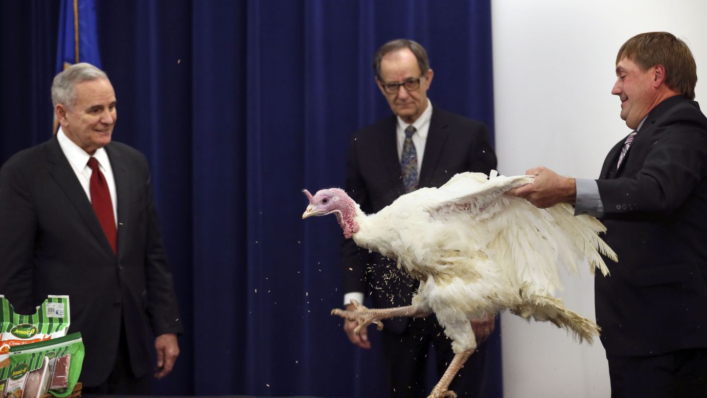 Farmer Robert Orsten holds a 40-pound turkey named after Green Bay Packers quarterback Aaron Rodgers during a Thanksgiving event in St. Paul, Minnesota, on Monday, November 23. Gov. Mark Dayton, left, used the turkey -- which is ultimately bound for an area food shelf -- to highlight an industry recovering from a devastating bout of avian flu.