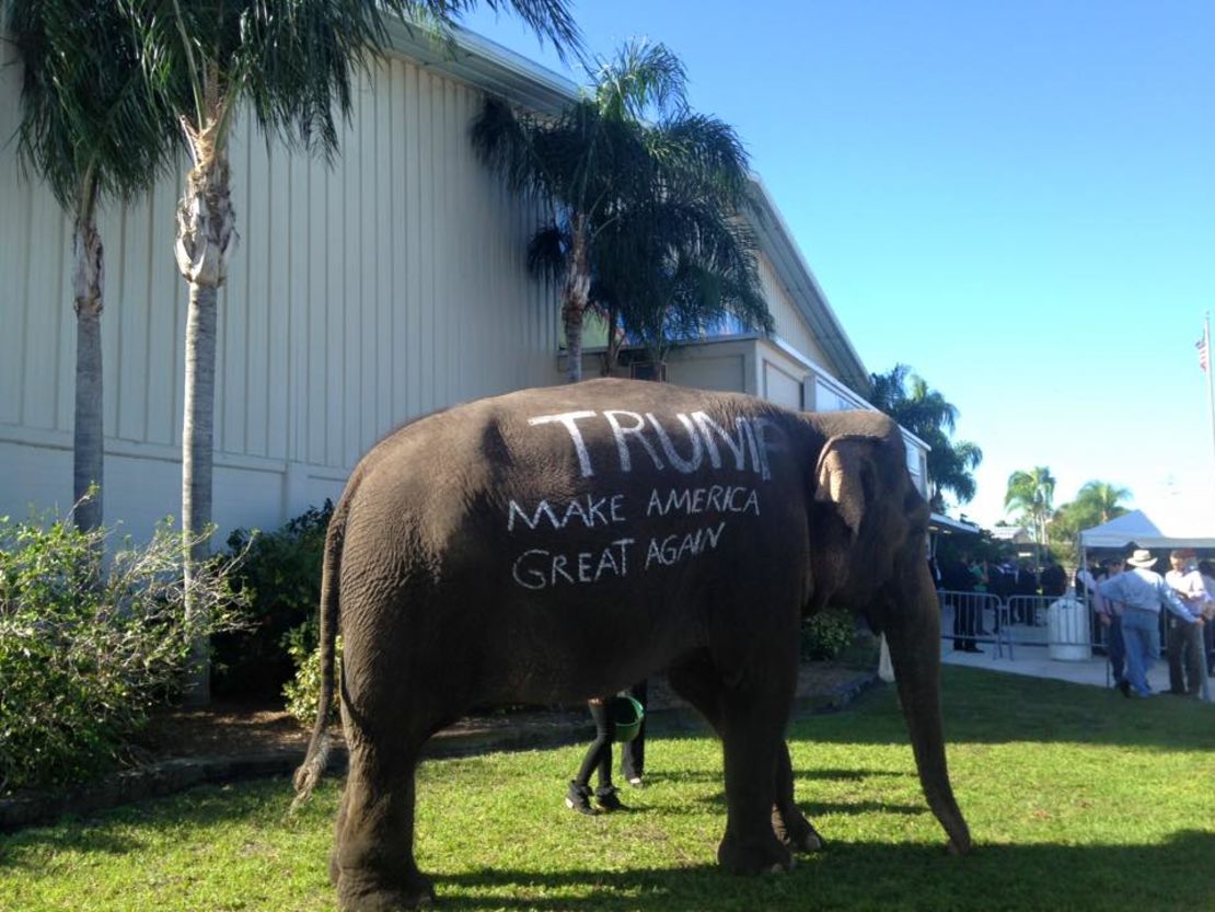 trump elephant