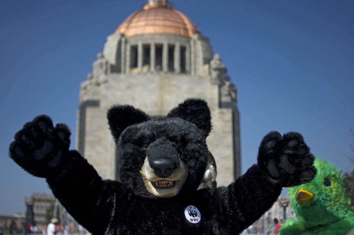 Activists of the World Wildlife Fund wearing endangered species costumes perform at the Revolution Monument in Mexico City.