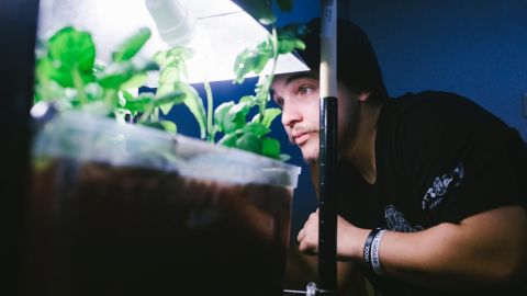 Vincent Pozza, an intern at TRUE Skool, trims the plants he grew using an aquaponic system. "We are the picture of the good side of Milwaukee, the side nobody talks about," Pozza said.