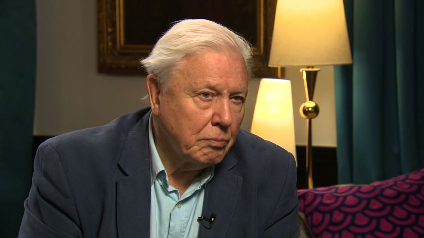 David Attenborough  Naturalist and broadcasting legend