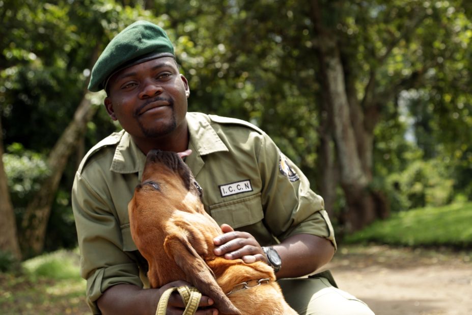 Virunga Ranger Gracien Muyisa Sivanza, with his bloodhound Sabrina. "People think that the park is only for us rangers. Everyone needs this park. When we talk to people, we need proof. Now we have that proof," Siivanza says of Virunga's ambitious clean energy project. 