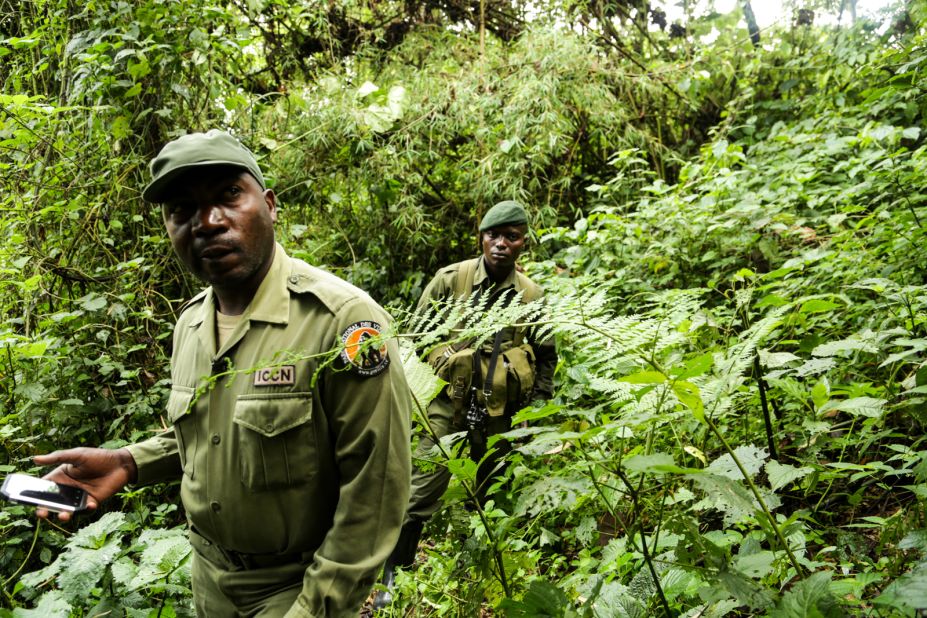 "Even when the war comes, we are here protecting these gorillas," adds Mburanumwe. "We say we will die protecting these gorillas."