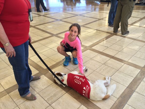 Therapy dogs from Los Angeles International Airport's PUP program (Pups Unstressing Passengers) give fliers something to smile about at the airport.