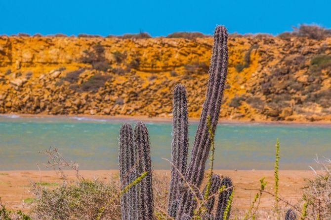 The further north you venture, the more cacti become a defining feature of the desert landscape. The prickly plants add a welcome dash of green to the overwhelmingly orange and brown surroundings.