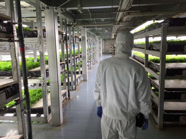 Japan adopted vertical farm technology relatively early. Spread, founded in 2006, says it shipped <a href="index.php?page=&url=https%3A%2F%2Fcnn.com%2Ftravel%2Farticle%2Fkyoto-vertical-farm-spread%2Findex.html">7.7 million </a>factory-grown heads of lettuce across Japan in 2015.