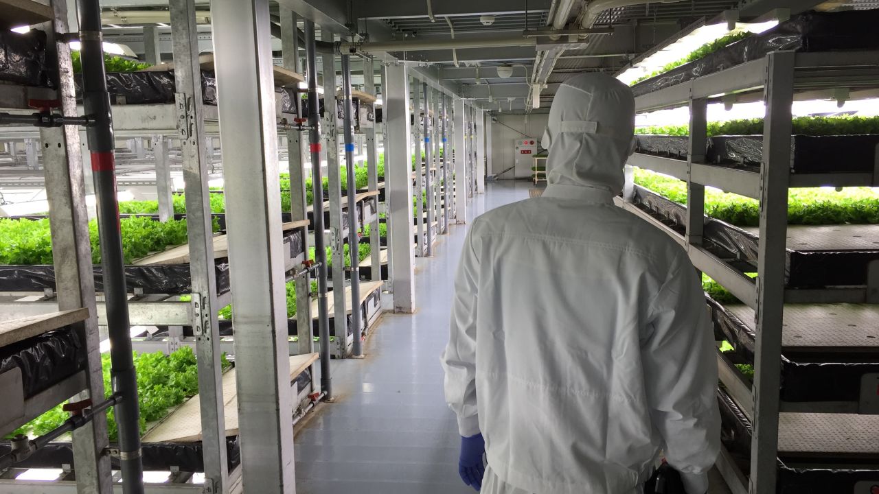 Cleanliness is paramount in the facility, which uses no pesticides on the crops. Workers wear full-body suits and masks to maintain the environment. 
