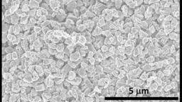 Electron microscope shows microdiamonds made with new technique related to Q-carbon.