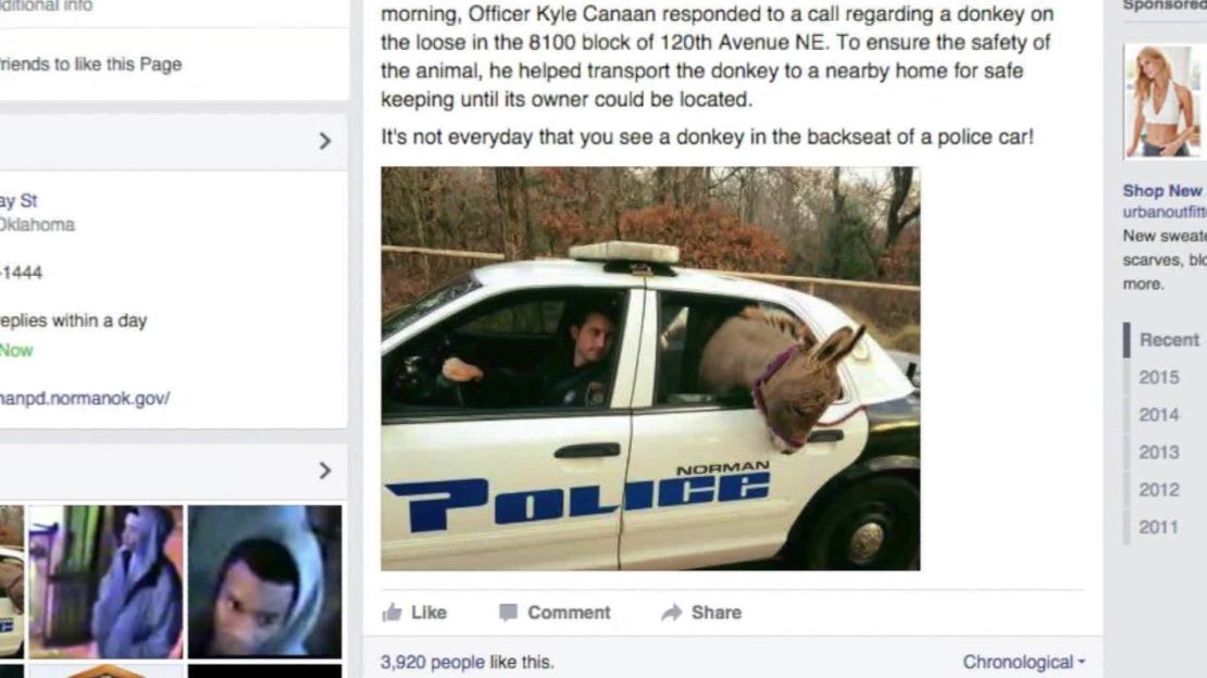 oklahoma donkey police car ride pkg_00005306