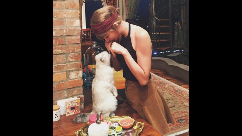 This photo of Swift and <a href="https://www.instagram.com/p/7WY679jvC3/" target="_blank" target="_blank">her cat Meredith</a> received 2.3 million likes.