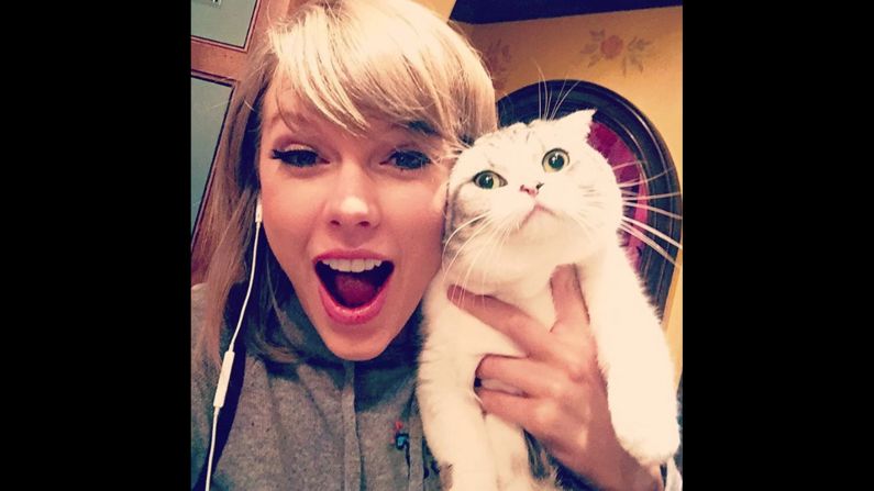 Swift's cat Meredith <a href="https://www.instagram.com/p/8bXWVHjvGG/" target="_blank" target="_blank">makes another appearance on Instagram,</a> with Swift proclaiming, "Meredith is allergic to joy."