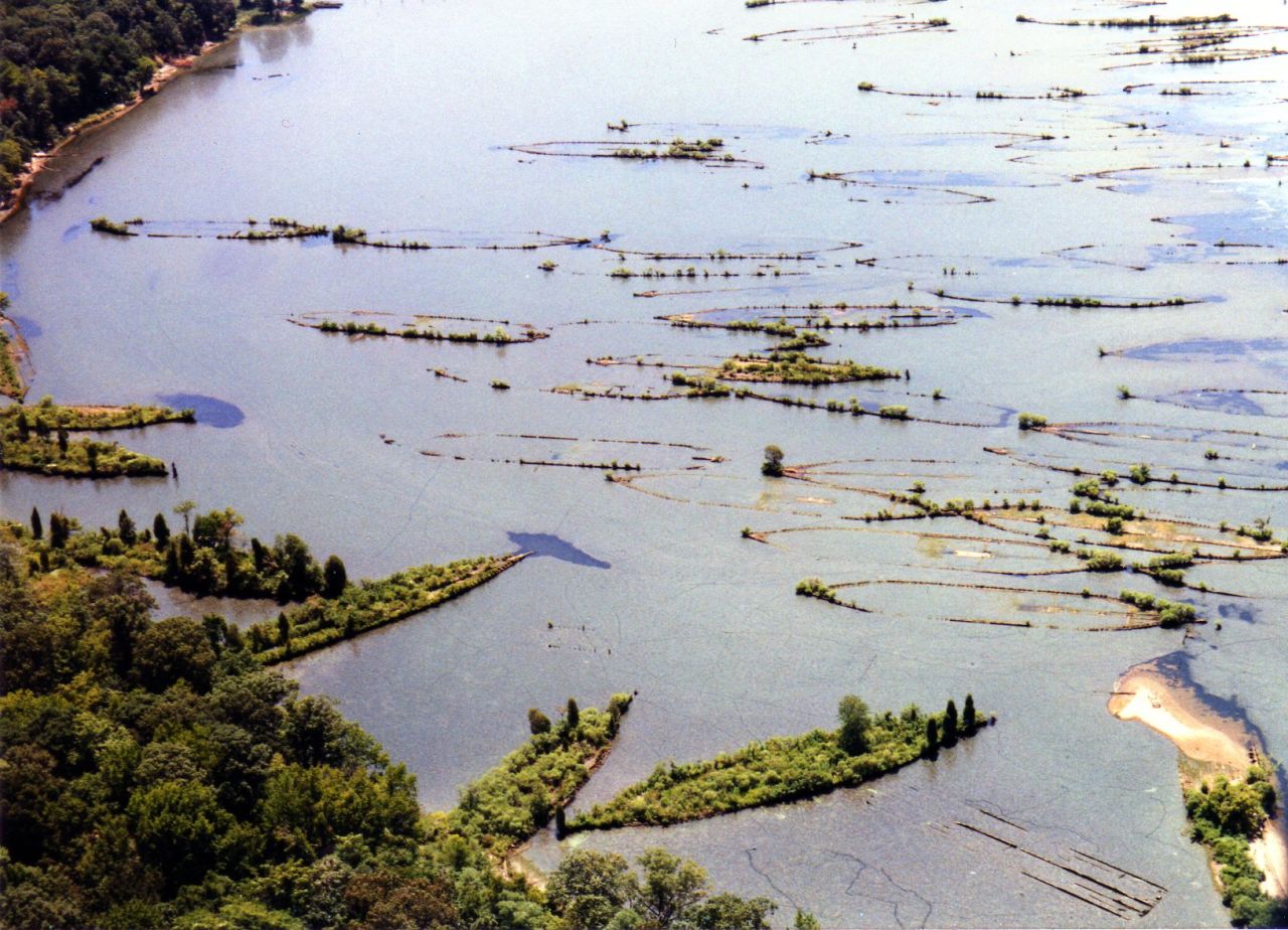 The ship graveyard in Mallows Bay, Maryland, is home to historic shipwrecks dating back to the American Civil War.
