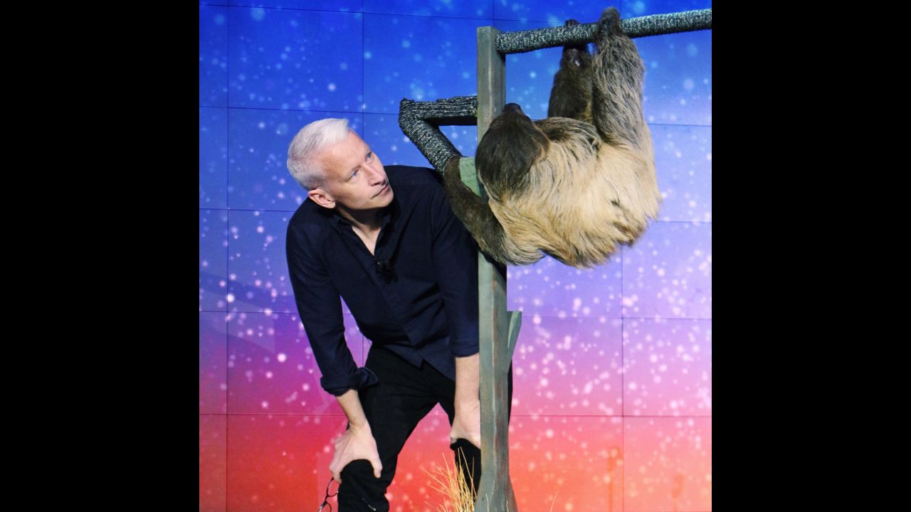 Host Anderson Cooper with a sloth named Snooki, an animal ambassador from the LEO Zoological Conservation Center.<br />Snooki was there to help honor Top 10 Hero Monique Pool, who rescues, rehabilitates and releases sloths back to the rainforest in Suriname.