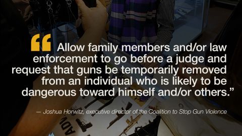 quote-guns-solutions-horwitz