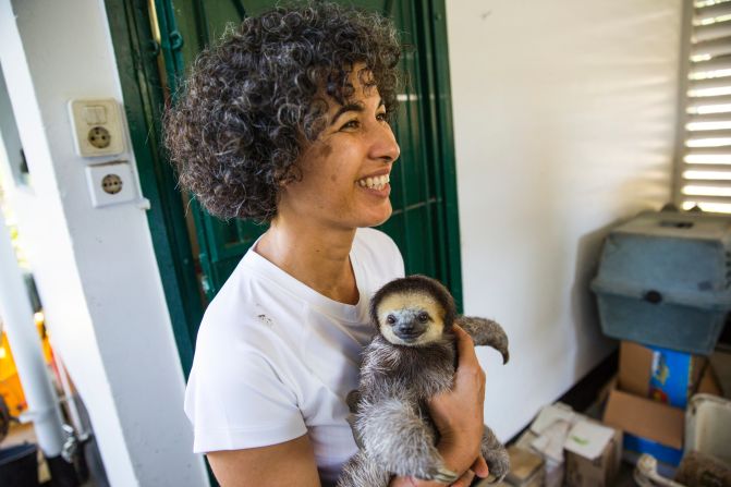 Since 2005, Monique Pool has helped rescue, rehabilitate and return hundreds of sloths back to the rainforest in her native Suriname.