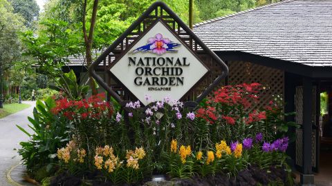 Singapore Botanic Gardens Orchid-Garden