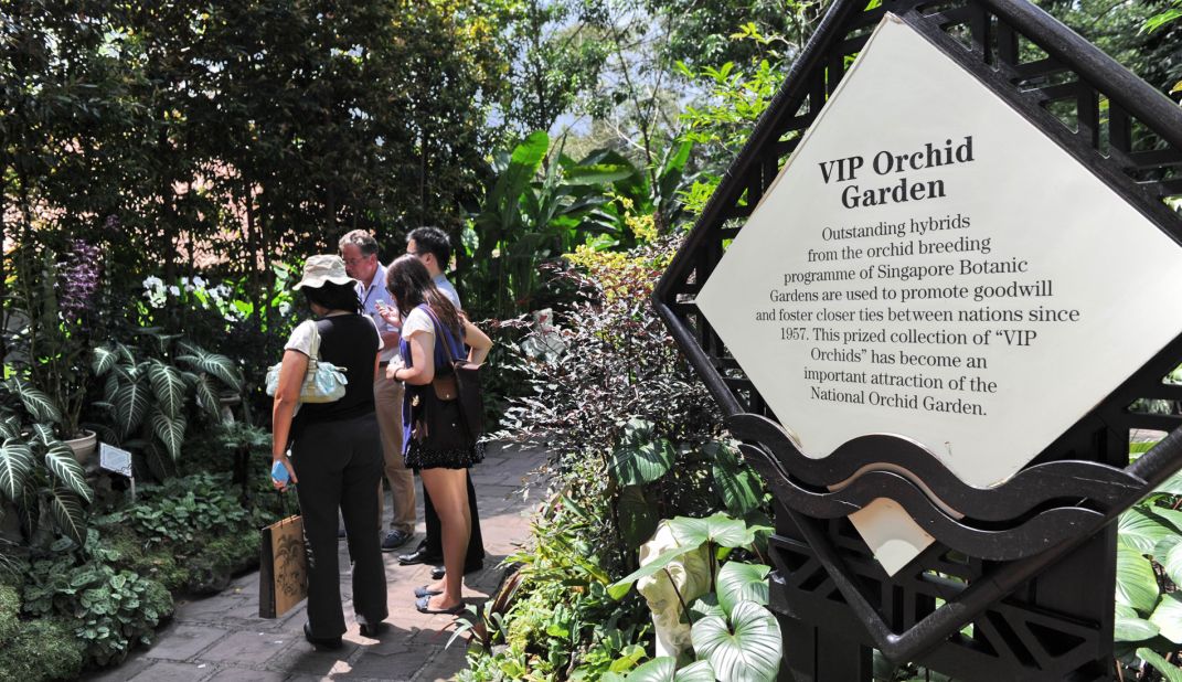 Located within the Singapore Botanic Gardens,  the National Orchid Garden has one of the largest collections of orchids in the world, with more than 450 species. One of the top attractions is the VIP Orchid Garden, featuring specially bred hybrids named after celebrities and heads of state who have visited Singapore. 
