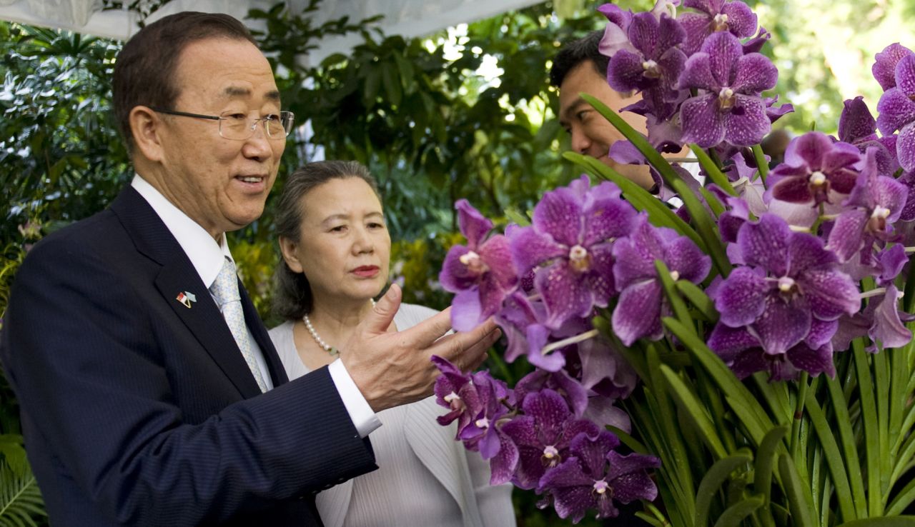 This hybrid was named after UN Secretary General Ban Ki-moon and his wife Yoo Soon-taek. 