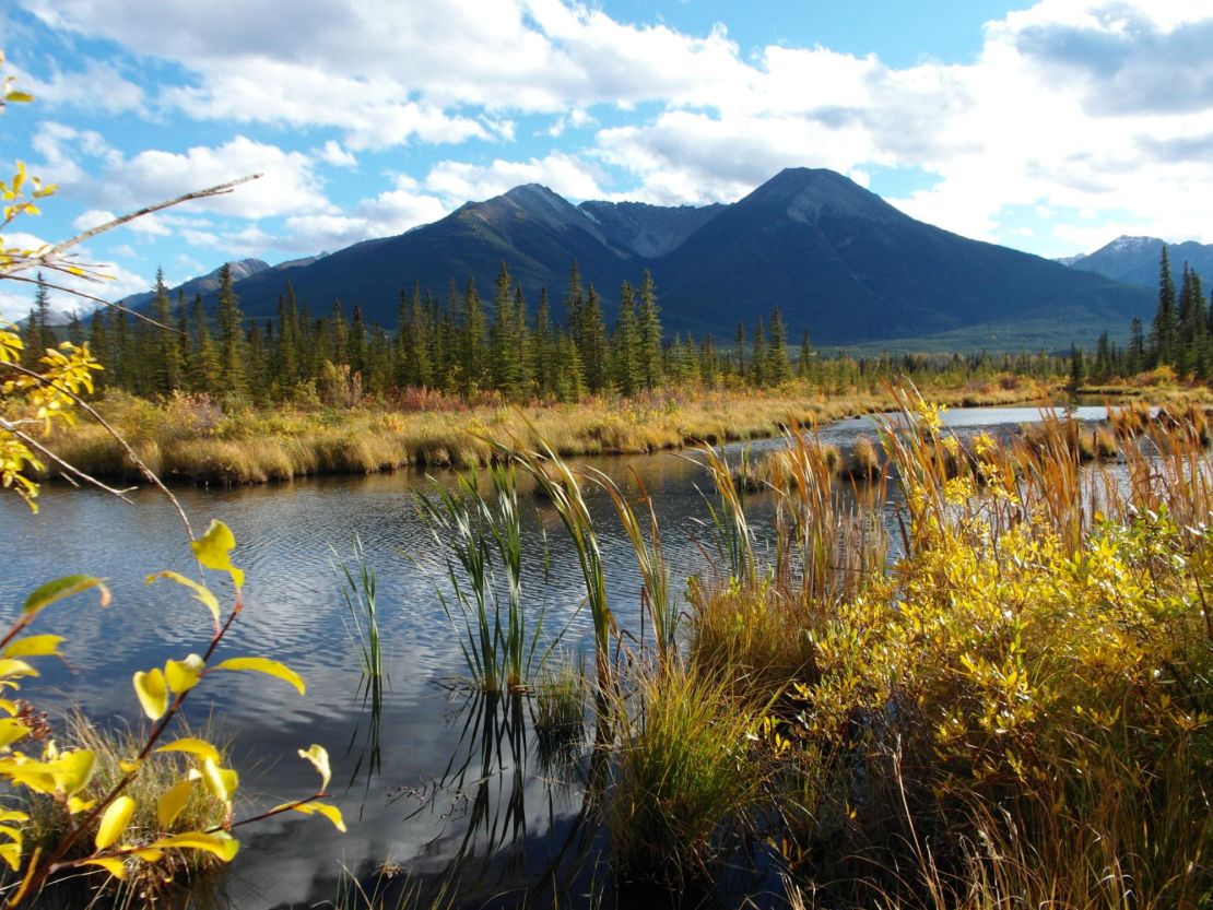 Banff, a popular tourist destination for US travelers, has seen a few Americans traveling about. Mounties, however, are able to fine people found breaking the rules.