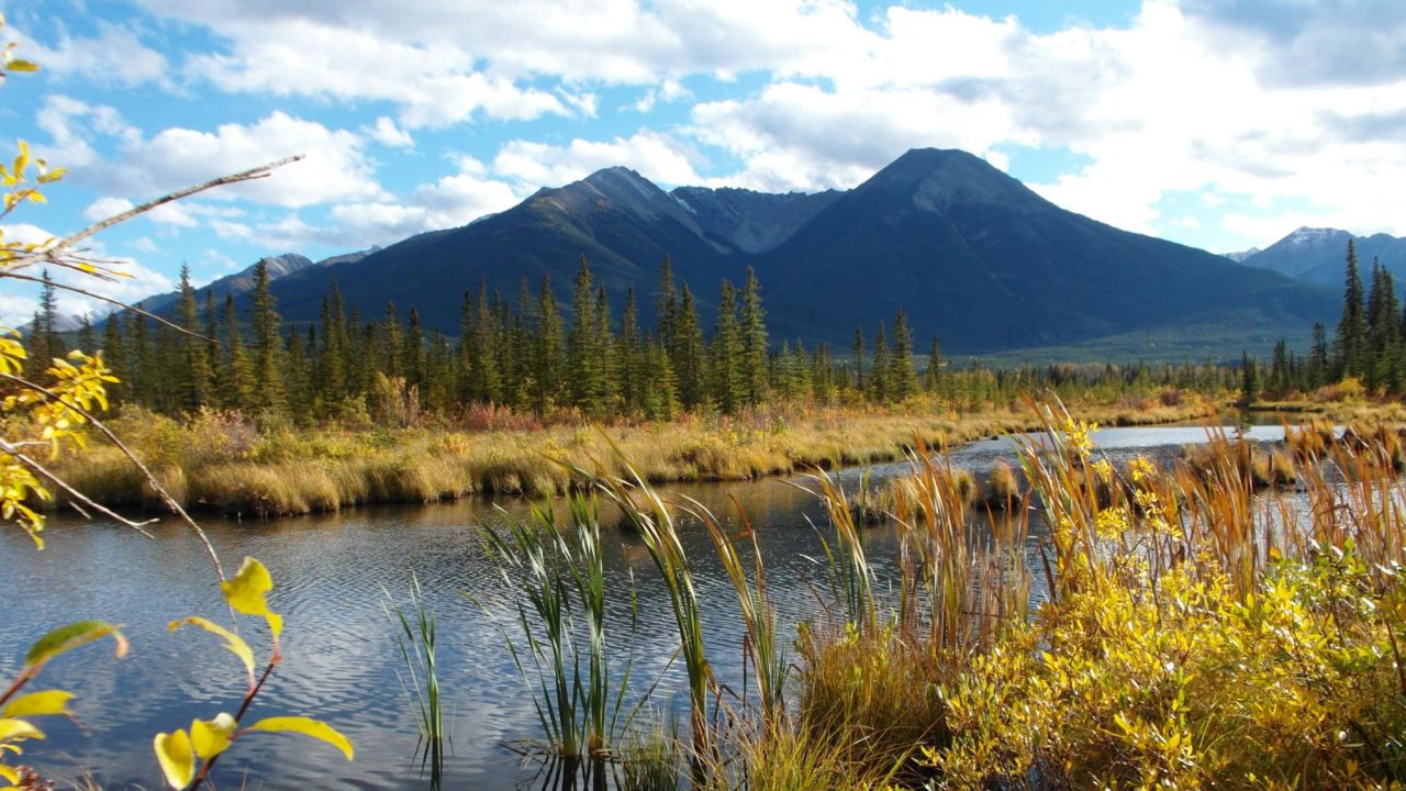 Banff, a popular tourist destination for US travelers, has seen a few Americans traveling about. Mounties, however, are able to fine people found breaking the rules.