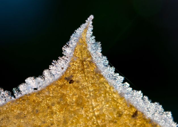 Ice crystals grow on the edge of a maple leaf in Sieversdorf, Brandenburg. There are more than 100 officially designated nature parks in Germany, covering over a quarter of the country. 