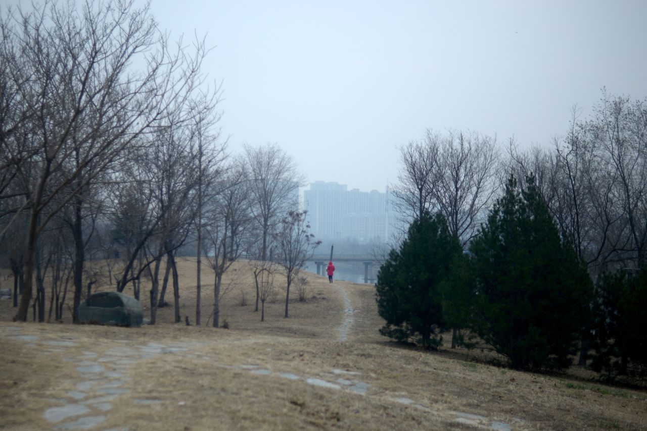 A woman walks along a path at a park in Beijing on December 7. Smog is blurring the view of the buildings in the background.