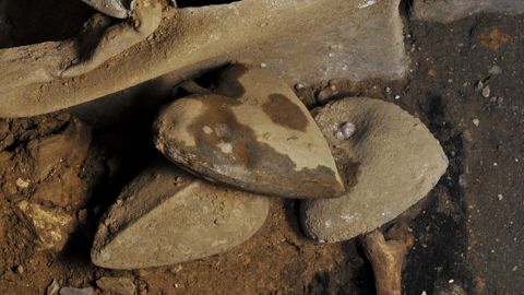 Lead urns from the 16th and 17th centuries preserved the hearts of wealthy noble families. These were found in the basement of the Convent of the Jacobins in Rennes, France.