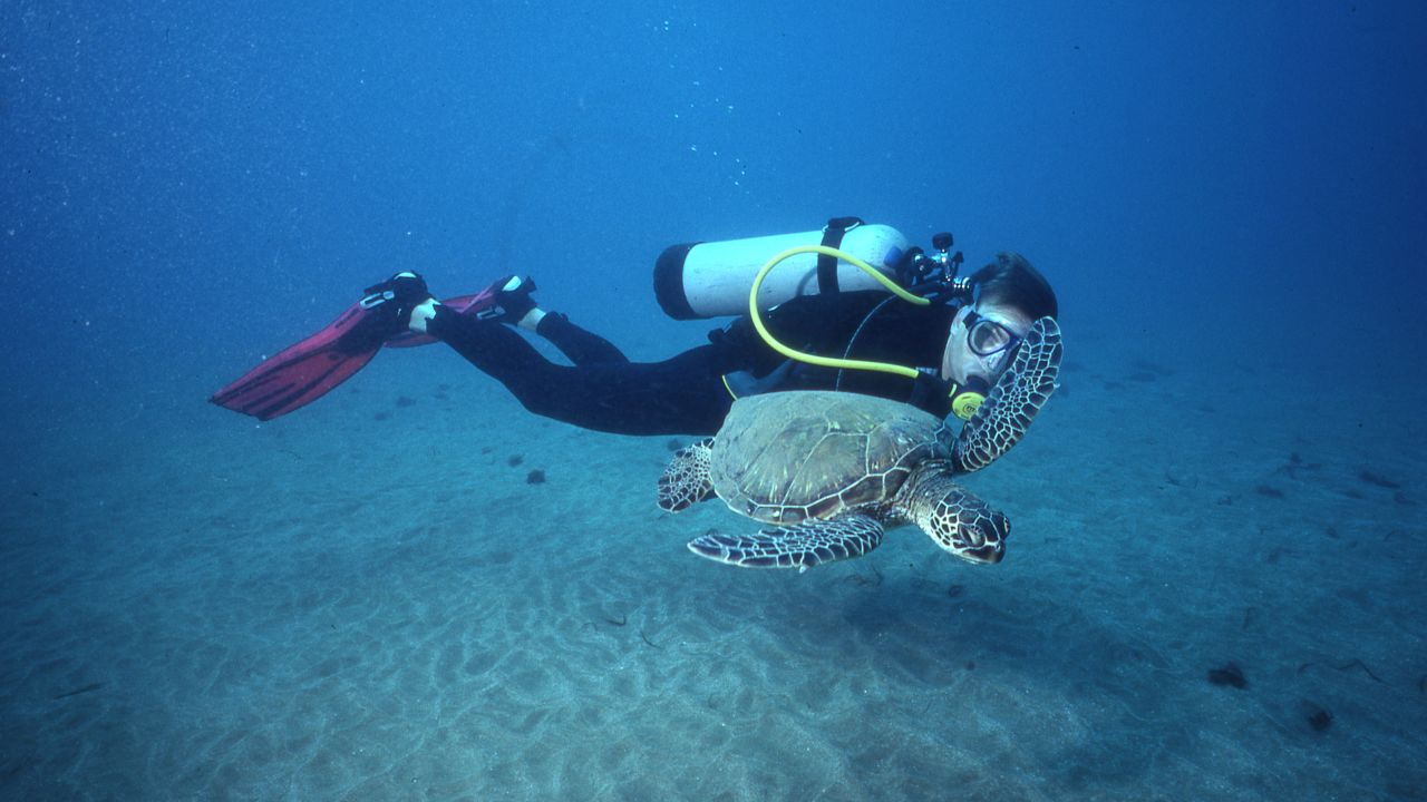 Keoghan meets up with a sea turtle while scuba diving during a trip to Niue Island. The South Pacific island doesn't boast any great beaches, but "I've never seen water as clear," Keoghan said.