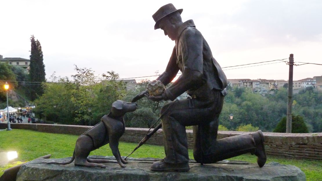 The world's largest truffle was found near San Miniato by Arturo Gallerini and his mongrel dog Parigi. 