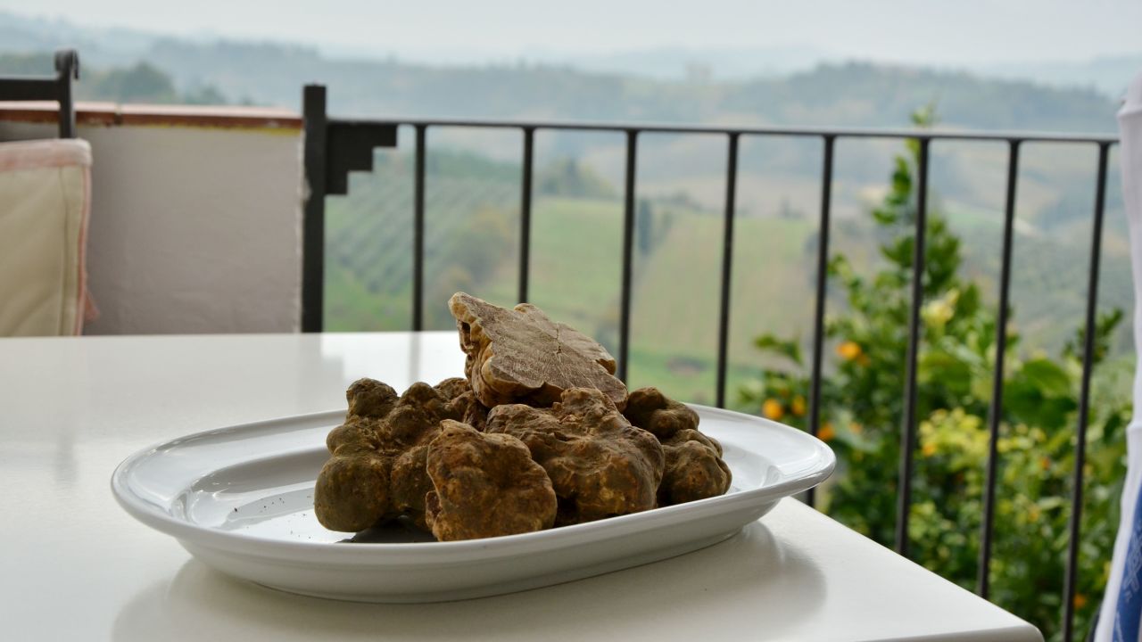 There are 63 varieties of truffle worldwide, but the most prized is the Italian white truffle, which is in season from October to late December or early January. 