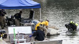 An FBI dive team conducts a search for any evidence, that may have been left by the husband and wife behind the San Bernardino massacre,  at Seccombe Lake Park, in San Bernardino, California, on December 10, 2015. David Bowdich, assistant director of the FBI's office in Los Angeles, told reporters there were indications that US-born Syed Farook and his Pakistani wife Tashfeen Malik had visited the park where Seccombe Lake is located on the day of the December 2 attack or previously.  AFP PHOTO/ RINGO CHIURINGO CHIU/AFP/Getty Images