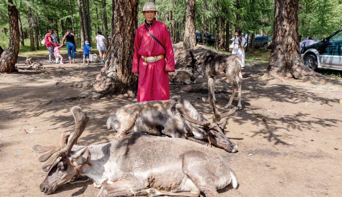 Some have accused the Dukha of abusing the reindeer for profit. 