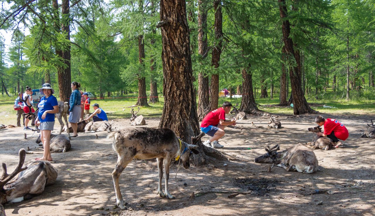 The Dukha who travel to Lake Khovsgol have faced criticism that the region is too warm for reindeer. <br />