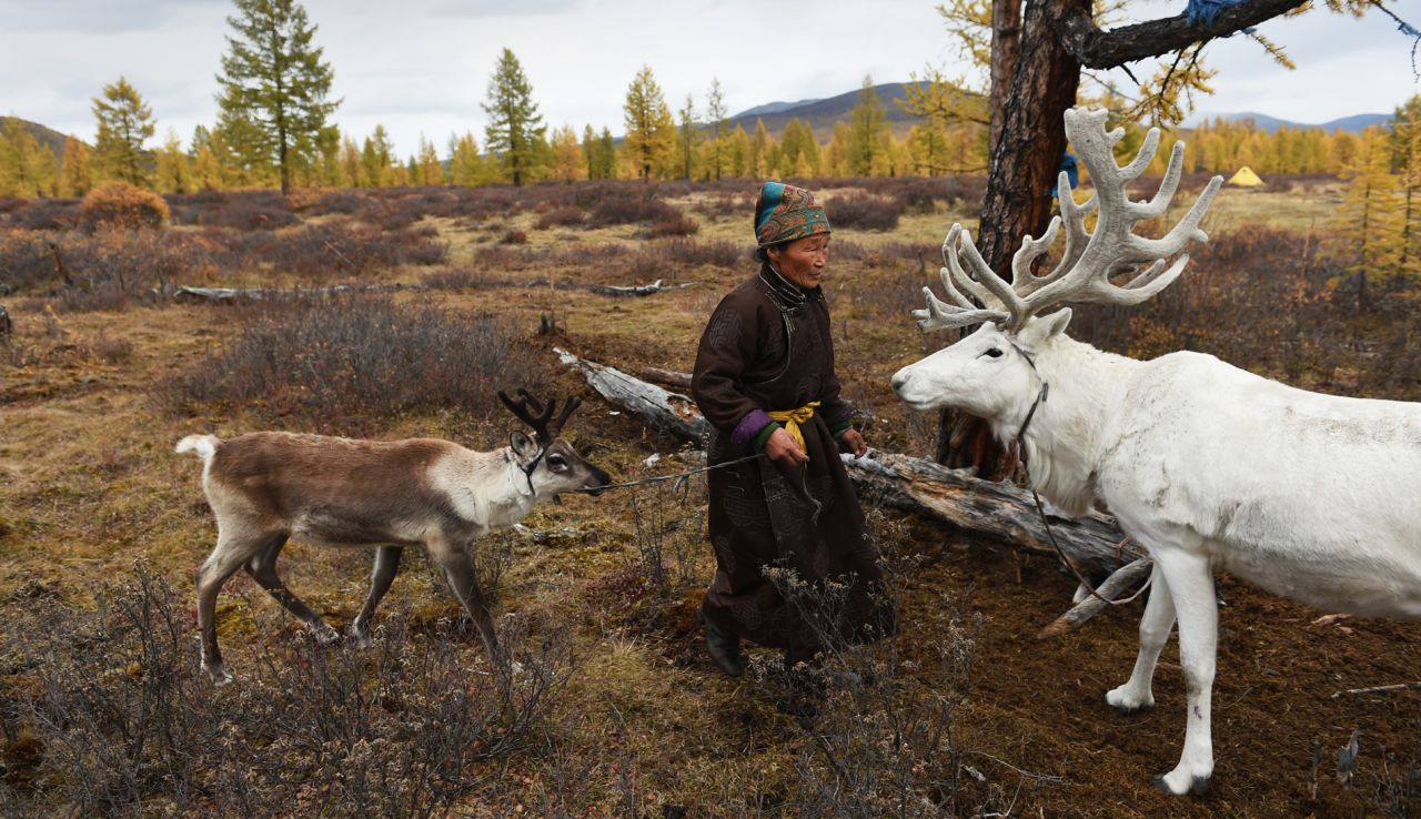 The Mongolian government declared the Dukha hunting ground a protected national park in 2011, restricting the area in which the tribe can hunt.