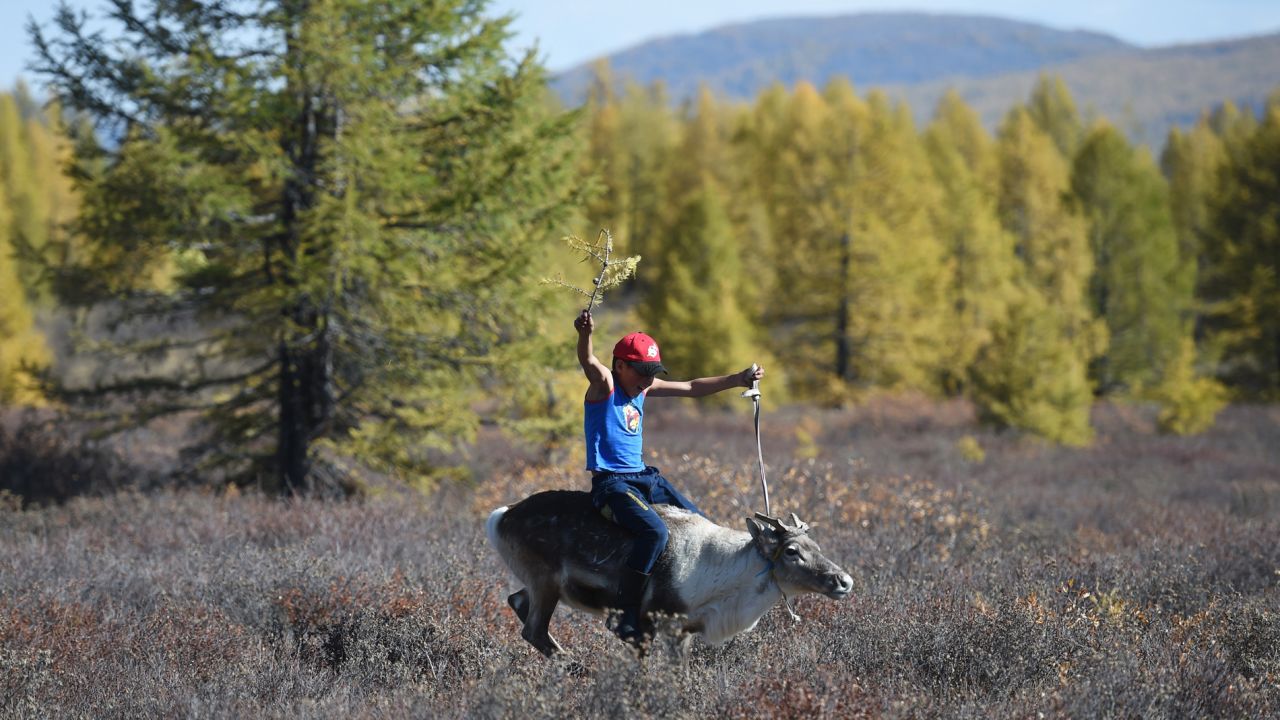 The Dukhas, or "the reindeer people," are the last of their kind in Mongolia.